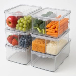 FridgeSmart Modular Organizer